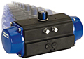 DelTorq Pneumatic Actuator